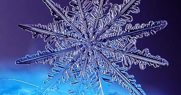 Kar Tanesi Anlami Kar Tanesi Kolye Anlamı Nedir?